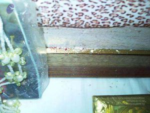 2011 eNMiracles Photo 180 1gzw8WFbbQyQysbP3MR43Dam3t-eXCpwh.jpg