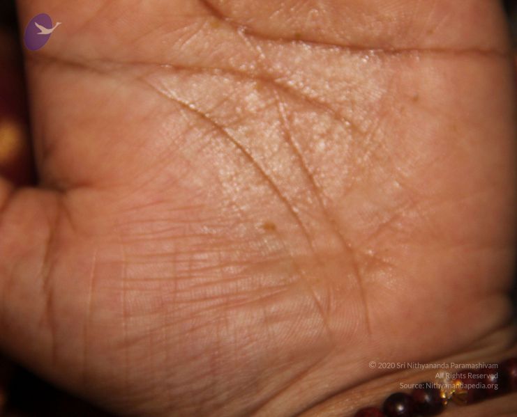 File:2011 eNMiracles Photo 293 1H tr-s-MRUkwLhumk6o2Dmby9oTVzm0-.jpg
