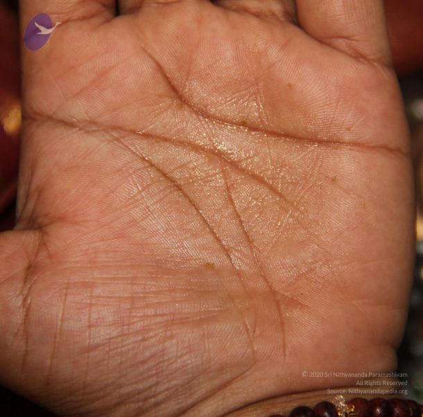File:2011 eNMiracles Photo 299 1mQlWmh9d2npkiT7FtlFycv6TBL hq5Rp.jpg