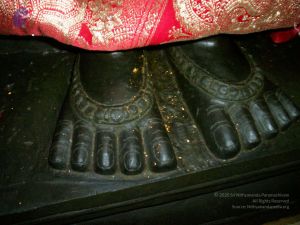 2011 eNMiracles Photo 303 1ksRpi0zoDIHv9qlXpH4newxlRjQ9f Kj.jpg