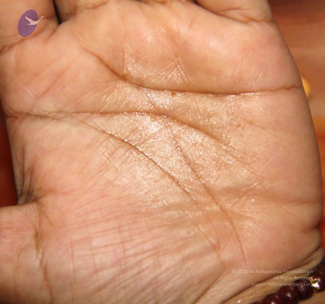 File:2011 eNMiracles Photo 305 1IIIuJ0dYQ5mUSE5s09jFCzkeeen5SNvY.jpg