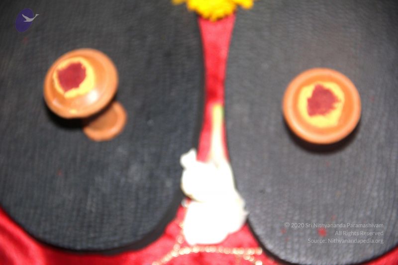 File:2011 eNMiracles Photo 306 1B7y7P6skWN 4CiGU5M0JNtc Qy26wRzY.jpg