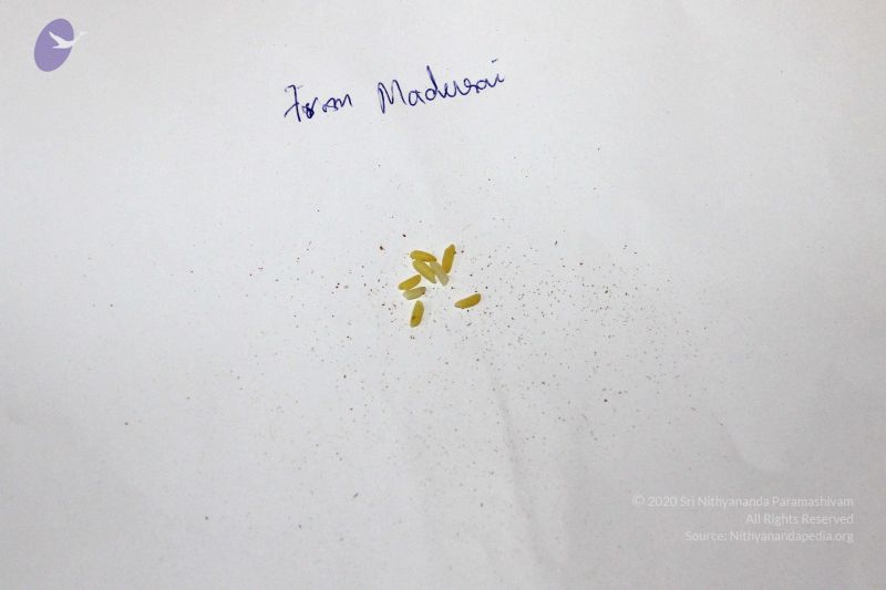 File:2011 eNMiracles Photo 337 1PRZznx7a2KTjqK0wqjl0eBzSaR0WSwhi.jpg