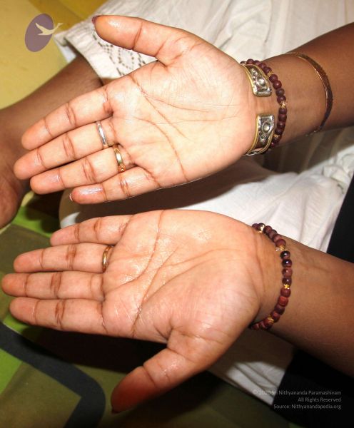 File:2011 eNMiracles Photo 363 1dWloRuIfzXFbTi2RDPcNUzeL394nnI T.jpg