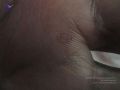 Thumbnail for version as of 07:34, 22 March 2021