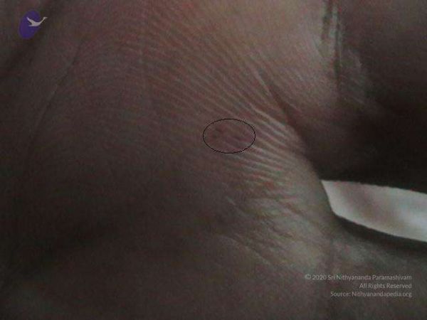 2011 eNMiracles Photo 408 1M2z5MfAIRSs1LrAwxAiLqFlR EroYlEq.jpg
