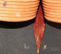 Thumbnail for version as of 18:22, 21 March 2021