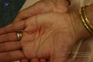 2011 eNMiracles Photo 567 1k7r19m3f8 D0rHQe4Qk5fw-gZPbu8D0l.jpg