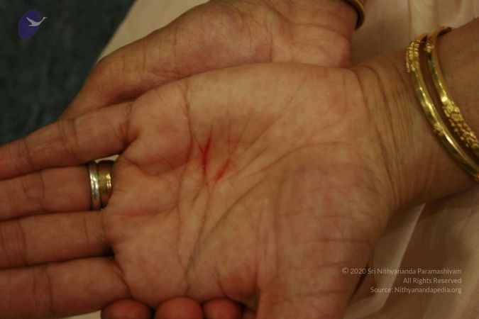 2011 eNMiracles Photo 567 1k7r19m3f8 D0rHQe4Qk5fw-gZPbu8D0l.jpg