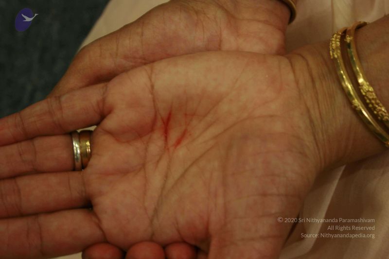 File:2011 eNMiracles Photo 567 1k7r19m3f8 D0rHQe4Qk5fw-gZPbu8D0l.jpg