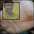 Thumbnail for version as of 07:36, 22 March 2021