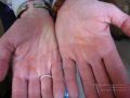 Thumbnail for version as of 07:36, 22 March 2021