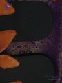Thumbnail for version as of 07:37, 22 March 2021