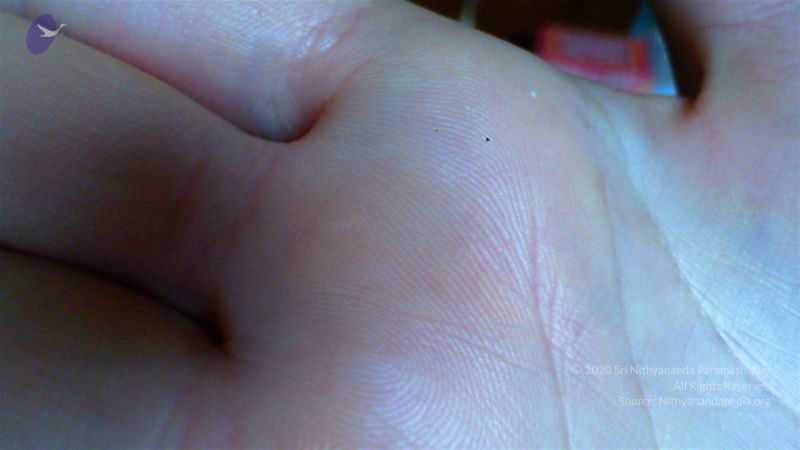 2011 eNMiracles Photo 67 1k5 i4jjHbxZSM1J2NqPbwD-rUX0n7MVn.jpg
