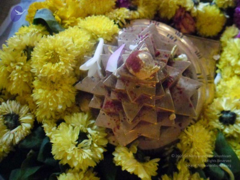 File:2011 eNMiracles Photo 698 1JtPh0jMhJlAi20MR67mBV6W RIYHitlt.jpg
