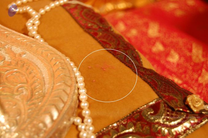2011 eNMiracles Photo 70 1PTj-eCSghPmZ7w70moUcWgh7BeOGgHJK.jpg