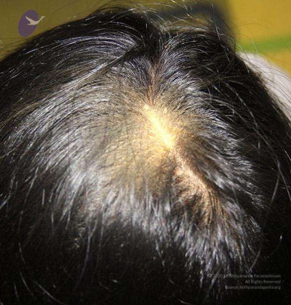 File:2011 eNMiracles Photo 813 1F3xqalo EXmd5h6dGVc-HAWg X035qYM.jpg