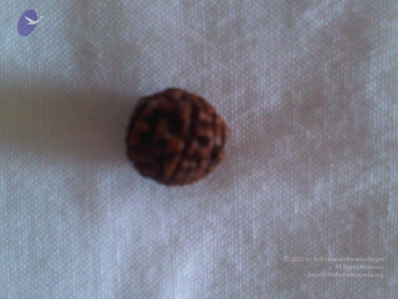 File:2011 eNMiracles Photo 826 1iamtfvdpHDLlKx l7ousmGfCH-rWKY3t.jpg