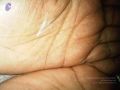 Thumbnail for version as of 07:39, 22 March 2021