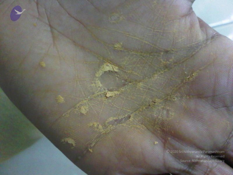 File:2011 eNMiracles Photo 866 1wCNc0SqnC2yUrHb5jBUn4gdE5fUBemZ1.jpg
