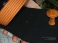 Thumbnail for version as of 07:40, 22 March 2021