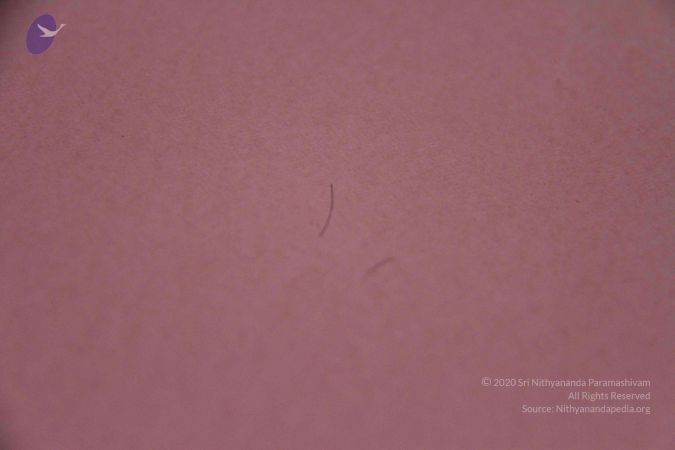 2011 eNMiracles Photo 929 1ClleDCwBH1aYK9Dfd0Dj6TKMHCLELhpY.jpg