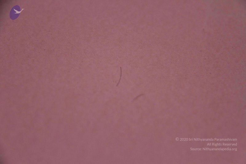 File:2011 eNMiracles Photo 929 1ClleDCwBH1aYK9Dfd0Dj6TKMHCLELhpY.jpg