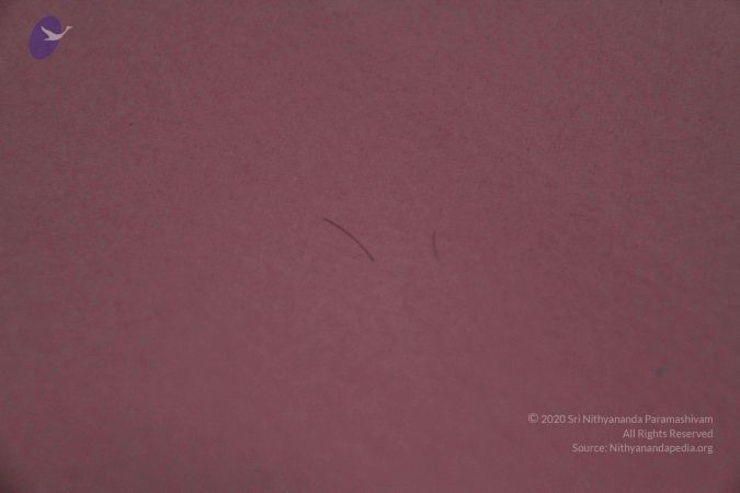 2011 eNMiracles Photo 933 18iHermh9fqWn2vaZC-e Qqee4sZc8rCm.jpg