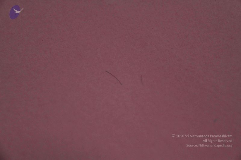 File:2011 eNMiracles Photo 933 18iHermh9fqWn2vaZC-e Qqee4sZc8rCm.jpg