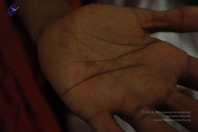 2011 eNMiracles Photo 939 1r2lYWoMViQ23Q5-yY6VuoJS-5xXBISID.jpg