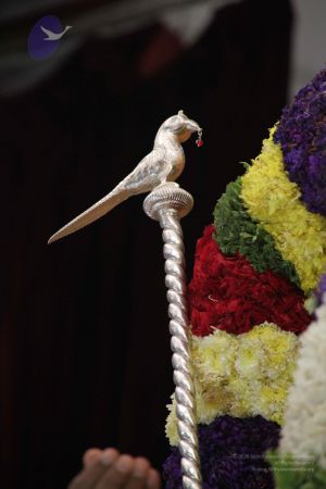 20120101 IMG 1250 CMP WM-1901.jpg