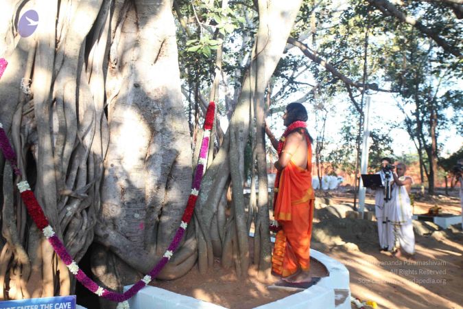 20120101 IMG 7767 CMP WM-4501.jpg