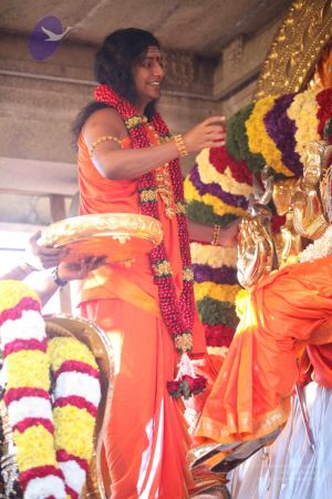 20120101 IMG 7793 CMP WM-7001.jpg