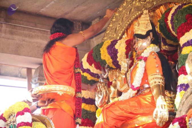 20120101 IMG 7800 CMP WM-7701.jpg