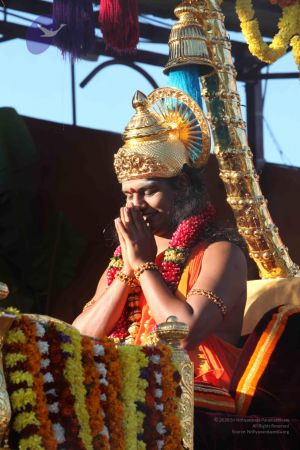 20120101 IMG 7852 CMP WM-14801.jpg