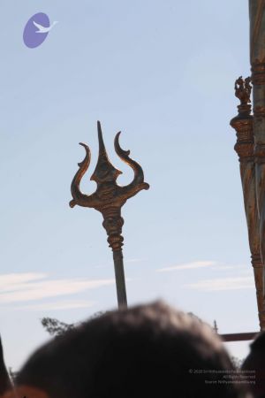 20120101 IMG 8227 CMP WM-29301.jpg