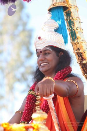 20120101 IMG 8257 CMP WM-0601.jpg