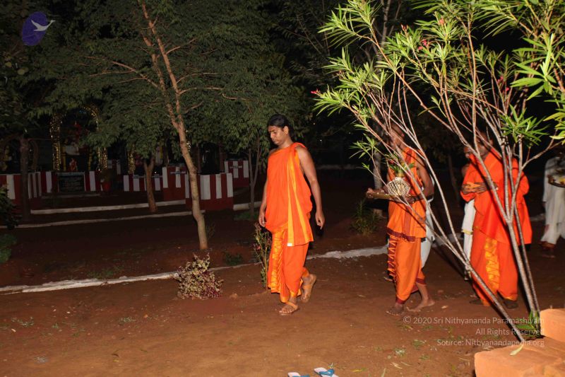 File:20120101 Photo 1001 1GWT-95oSkdCpKBNonNWDUGs6VhHC xAz.JPG