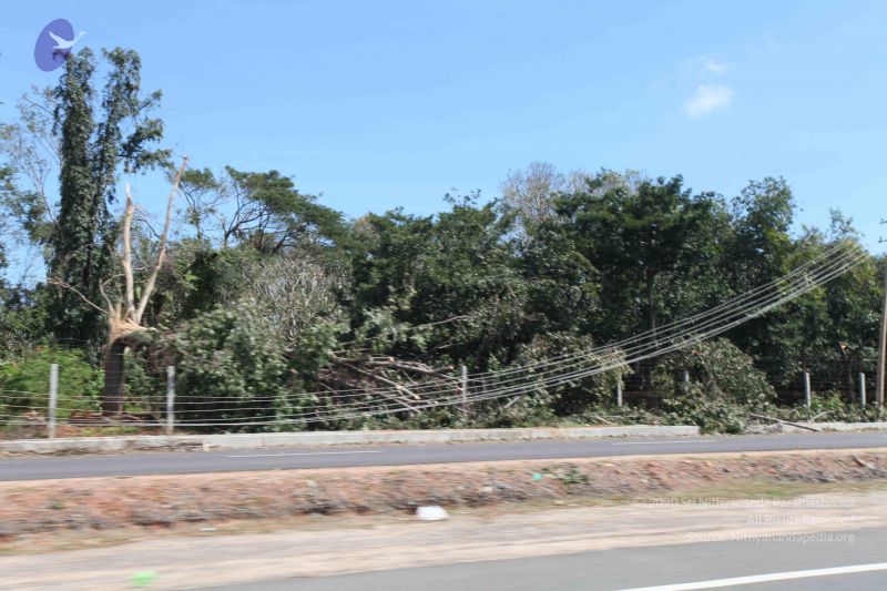 File:20120101 Photo 1057 1aDgf9ZwY44d7I8qS42sIhBVjbzGOI2gR.JPG