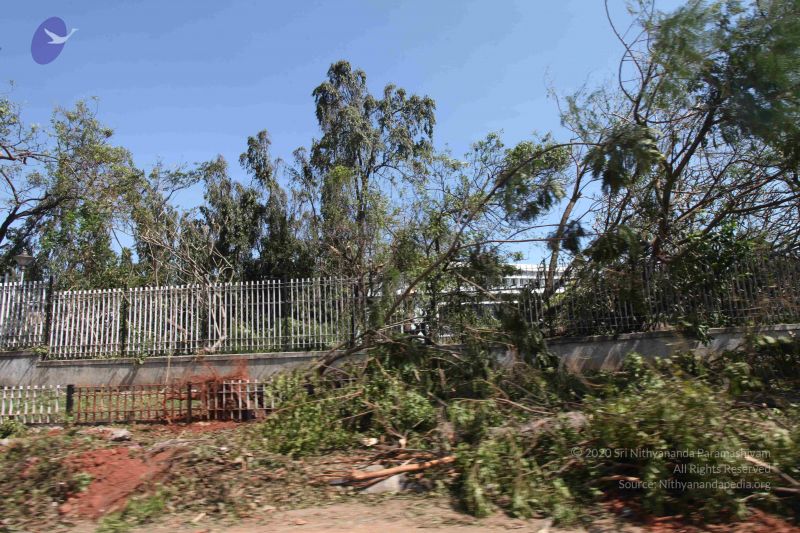 File:20120101 Photo 1060 1HlQZ5msPm5FWAYuf8cz2nM9gW-hK7TkF.JPG