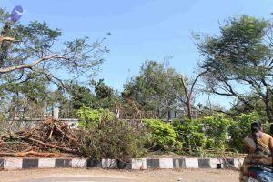 20120101 Photo 1064 13rfsLUq64LFmdCJ0RNctB28XYt4Cm77 .JPG