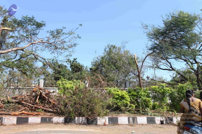 20120101 Photo 1064 13rfsLUq64LFmdCJ0RNctB28XYt4Cm77 .JPG