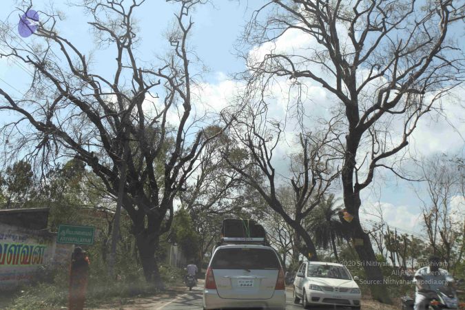 20120101 Photo 1086 10qzziO44auxnyQs7gB G50AV1RwX8C7L.JPG