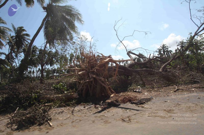 File:20120101 Photo 1098 1OQ7rduQXNTF8 ouXluNXi H-VtTZayd-.JPG