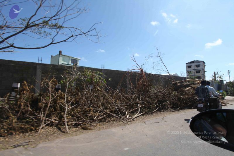 File:20120101 Photo 1102 1-1pGmVZ Iv--P0AoNI67lUIEIXYYuNVl.JPG