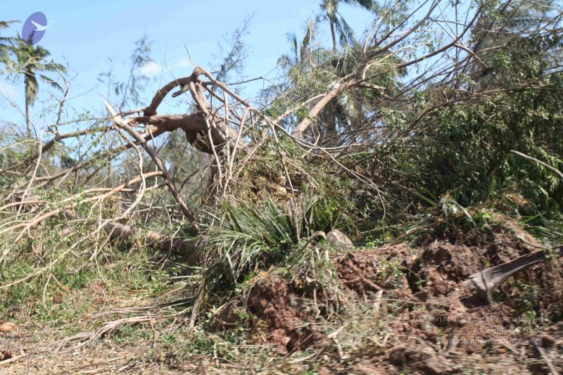 File:20120101 Photo 1105 16sAzc0tSyhKelGs4DhvKjeYNtuDBRYqS.JPG