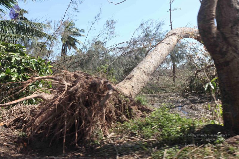 File:20120101 Photo 1106 1TuOeB1X7a3KprK-M4kurvpZUykLg3UPE.JPG