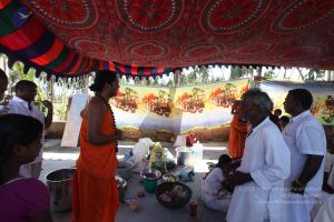 20120101 Photo 1171 1UvgI4ntpPrnmK44khCU4 wkfHIJwR8XP.JPG