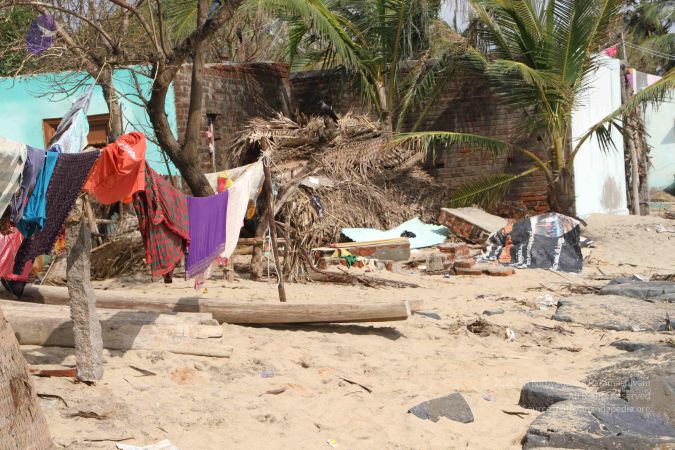 20120103 Photo 2081 13Sj0mhqjNmtbUt5gTjFY948uA9tW8eU .JPG