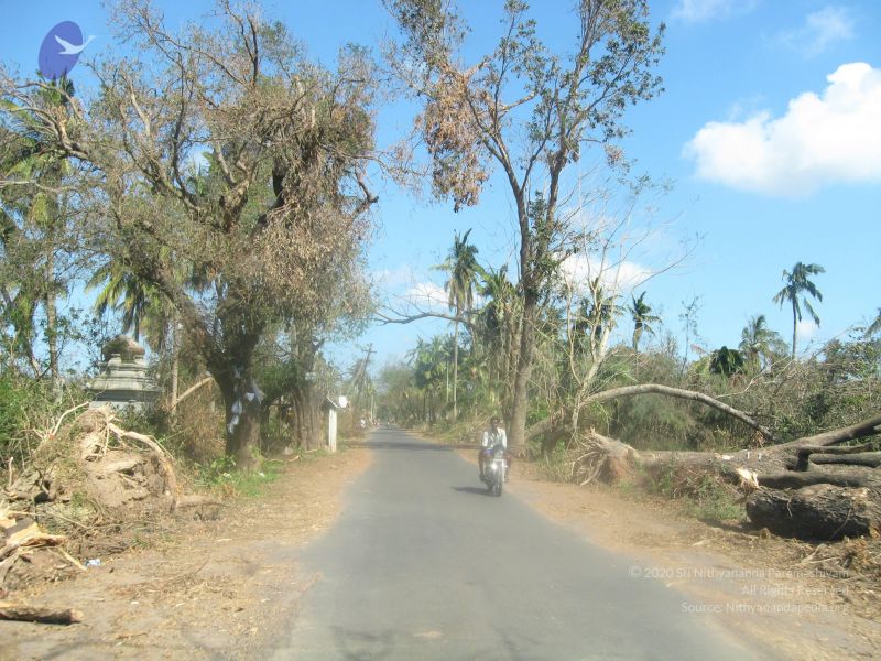 File:20120104 Photo 1006 1EFrOx9y8FEImNzXP00ONEop2BFVBJeZn.JPG